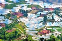《美丽田园》