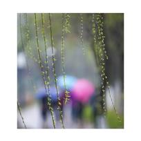 初春时节