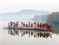 天泉湖秋色