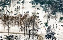 快雪时晴图
