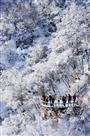 黄山初雪