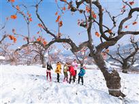 《快乐山里娃》