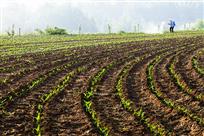 《在希望的田野上》