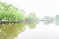 绿色南湖