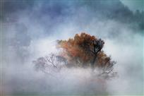 云雾山中有人家