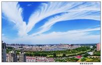 谁持羽翼当空舞