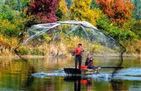 醉人秋色入画来