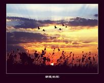 《朝霞鹤影》