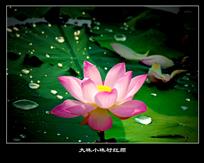 《大珠小珠衬红颜》