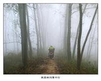 《秋晨林间雾中行》