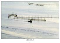 《淮河鱼米乡》