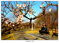 .《相濡以沫又一春》