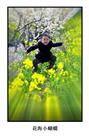 《我是花海小蝴蝶》