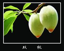《双桃》