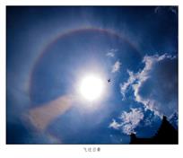 《飞过日晕》