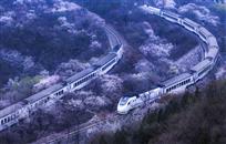 开往春天的火车