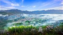 《绿色家园》