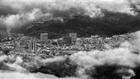 《中国菇城》