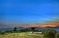 牧归夕阳下