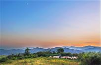 放牧夕阳下