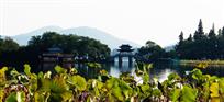 醉美水乡