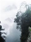 只在此山中