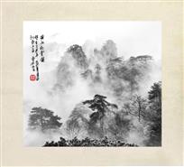 黄山松云图