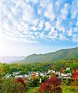山村秋韵