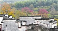 古村秋色