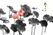出水芙蓉