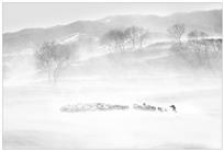 风雪牧羊人