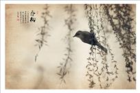 春柳青图