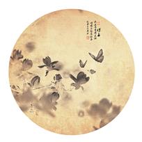 玉兰蝴蝶