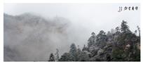 白雪青峰图