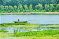 一叶扁舟日边来