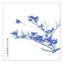 蓝花之美-寿带鸟