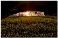 浙江兰溪高山梯田变奏曲