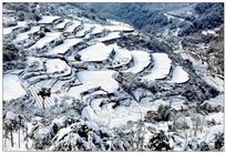 兰溪高山梯田变奏曲