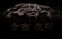 龙