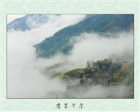 雾里早春