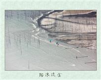 踏浪流金