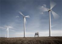 《风儿静静的吹》