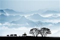 《远山的呼唤》