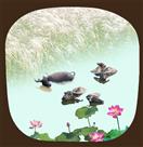 《和谐家园》组照