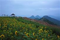 沂蒙山上好风光