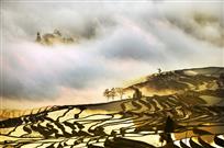 《紫气东来》