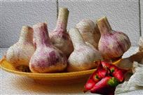 蒜头有益健康〔油画〕