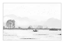 扁舟草长夜鹭飞