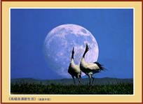 高唱美滿新生活