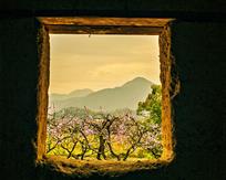 窗外春色